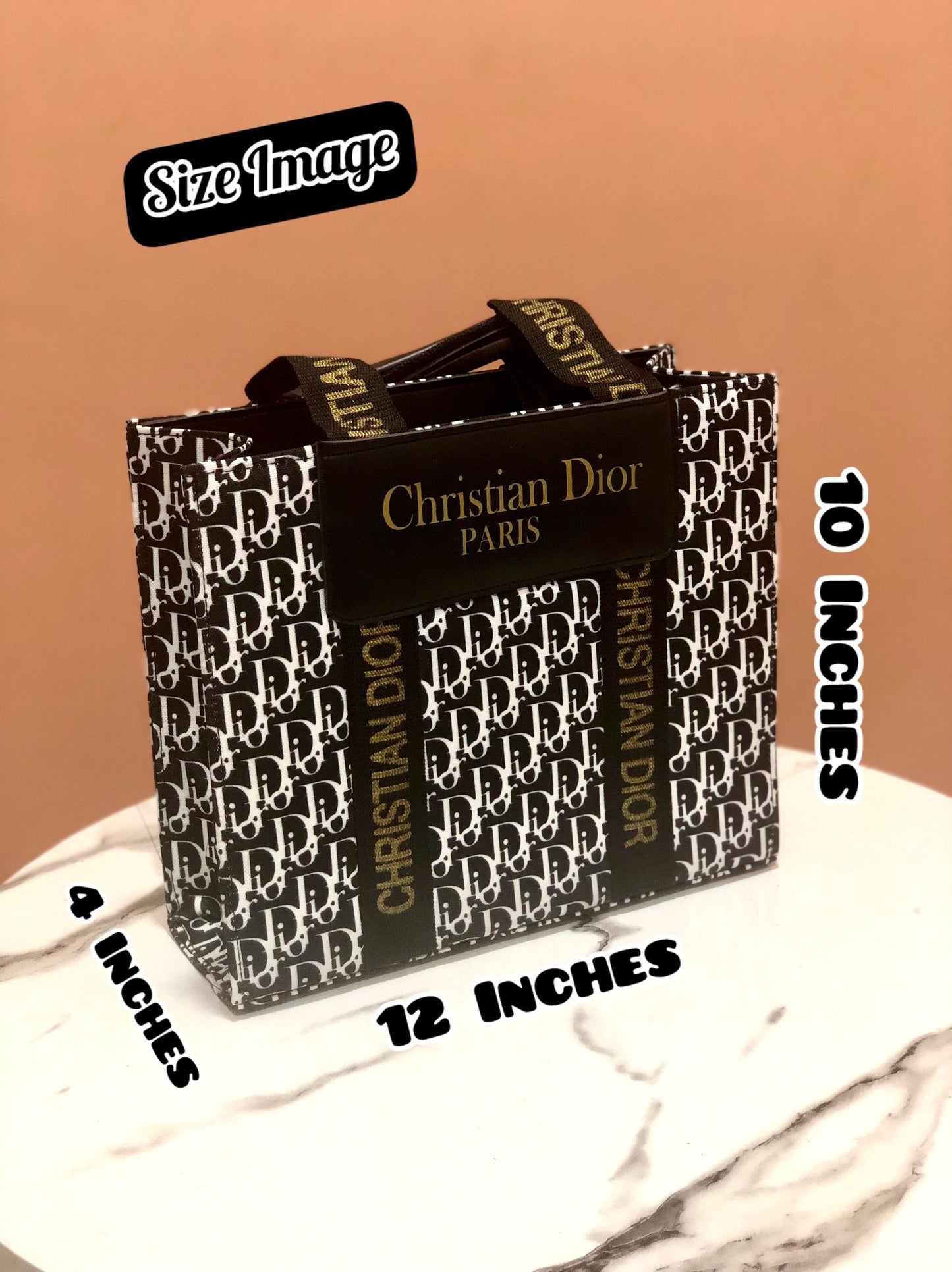 Christian Dior Slipper & Bag Set