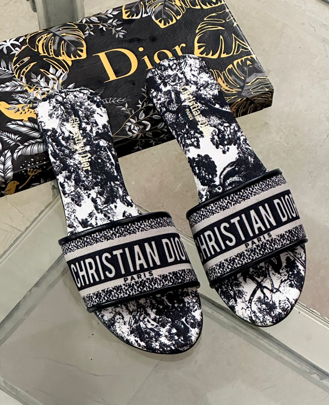 Dior Printed Flats Slipper