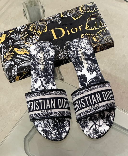 Dior Printed Flats Slipper